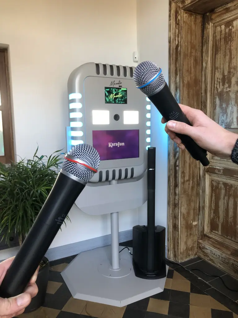 Borne Maestro (3).webp