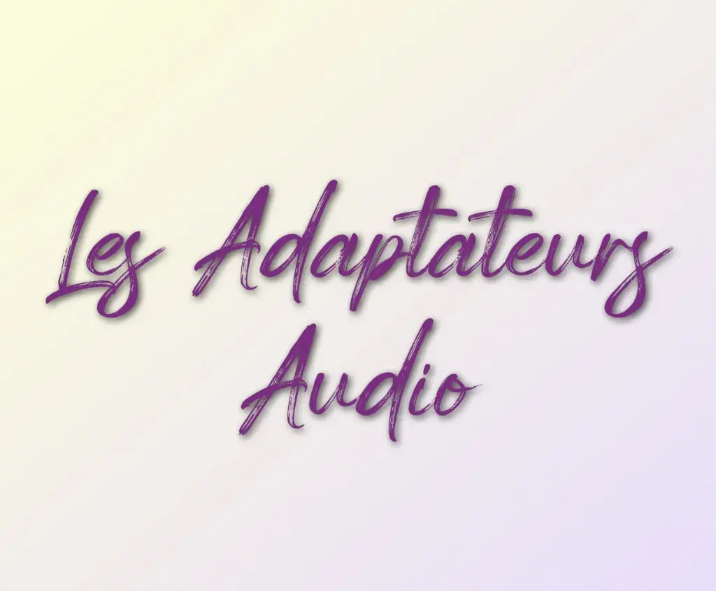 Adaptateurs Audio